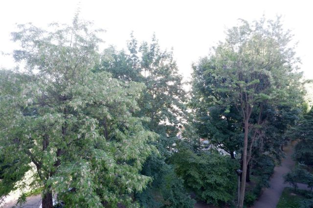 Mieszkanie 2-pokojowe Wrocław Stare Miasto, ul. Zachodnia. Zdjęcie 15