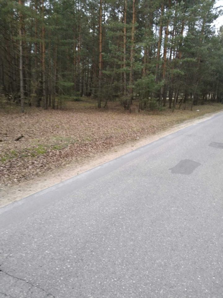 Działka leśna Czechy. Zdjęcie 2