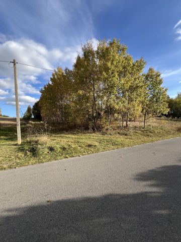 Działka rolno-budowlana Moszyny Rogoźno. Zdjęcie 4