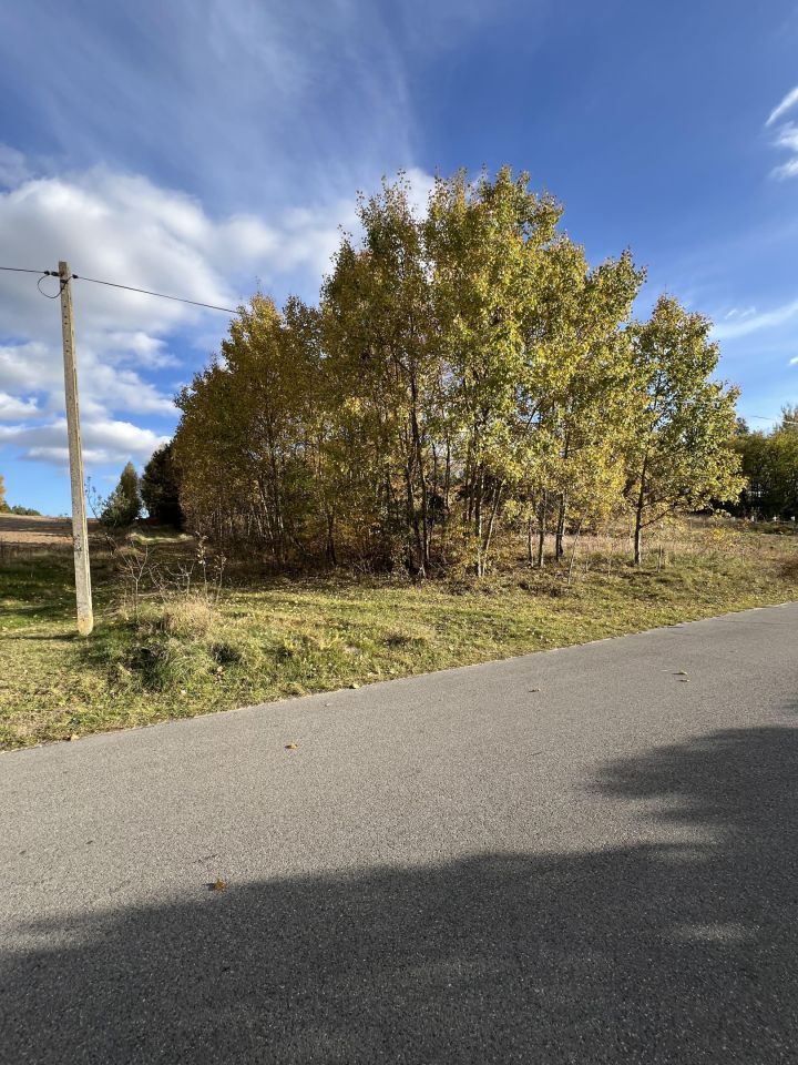 Działka rolno-budowlana Moszyny Rogoźno. Zdjęcie 4