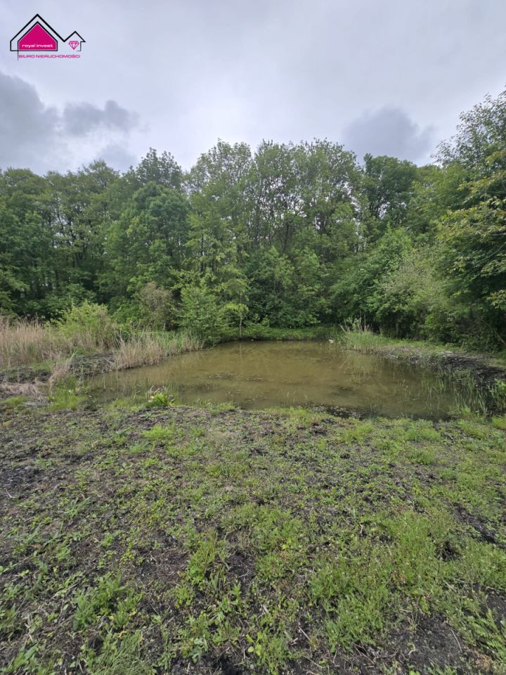 Działka rekreacyjna Konin Gaj. Zdjęcie 4