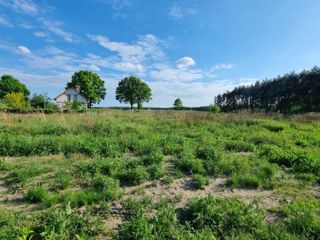 Działka budowlana Bagno. Zdjęcie 9