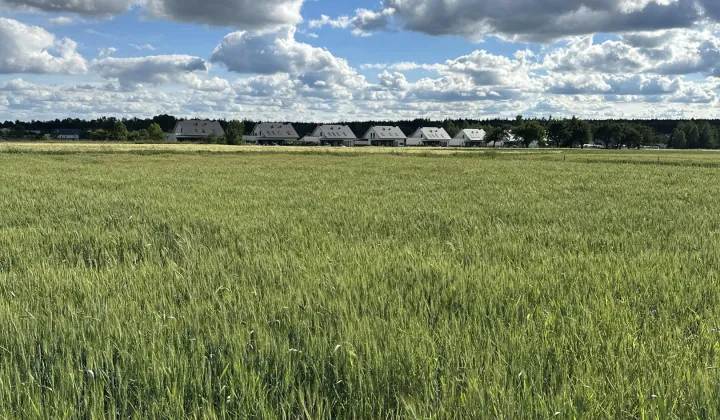 Działka budowlana Wysoka Głogowska Piaski, ul. Pogodna