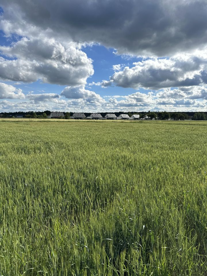 Działka budowlana Wysoka Głogowska Piaski, ul. Pogodna. Zdjęcie 3