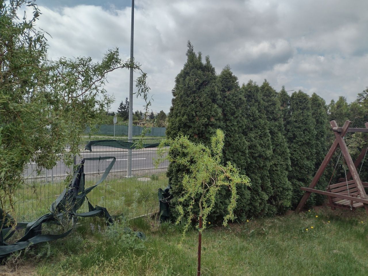 Działka rod Gostyń. Zdjęcie 4