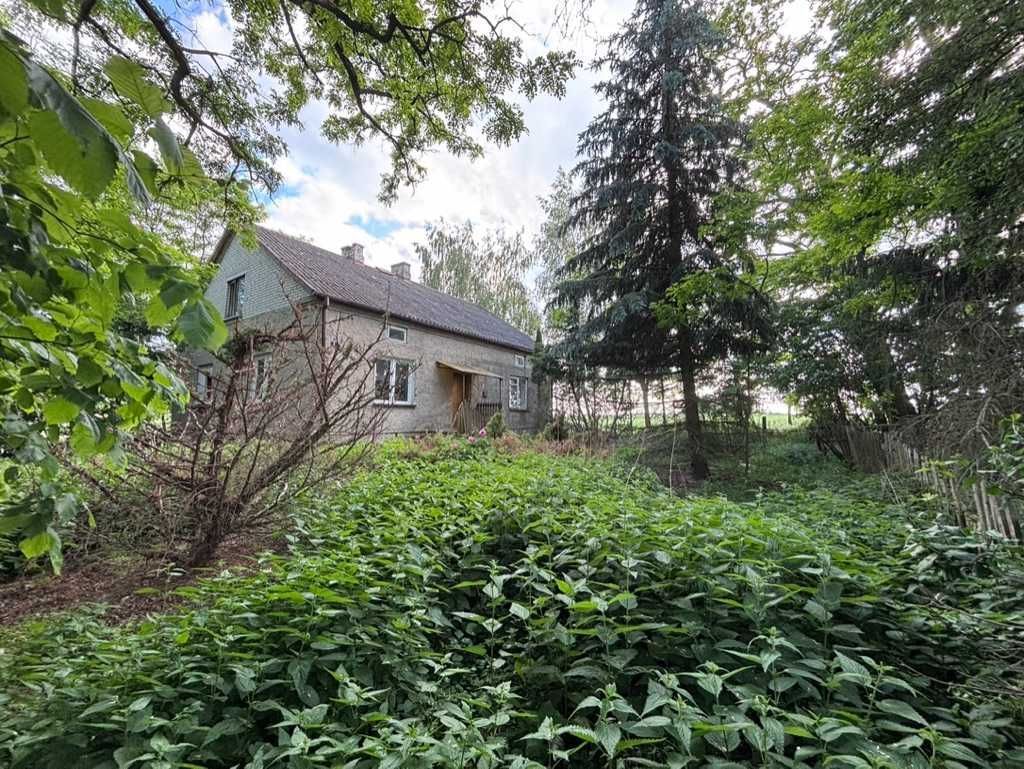 gospodarstwo Zalesie-Lenki. Zdjęcie 8