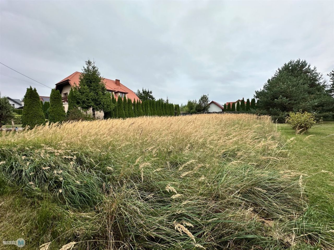 Zdjęcie 3