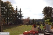 siedlisko, 6 pokoi Tuliszków. Zdjęcie 2