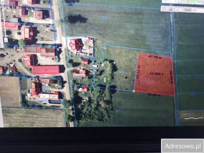 Działka rolno-budowlana Białogórzyno. Zdjęcie 3