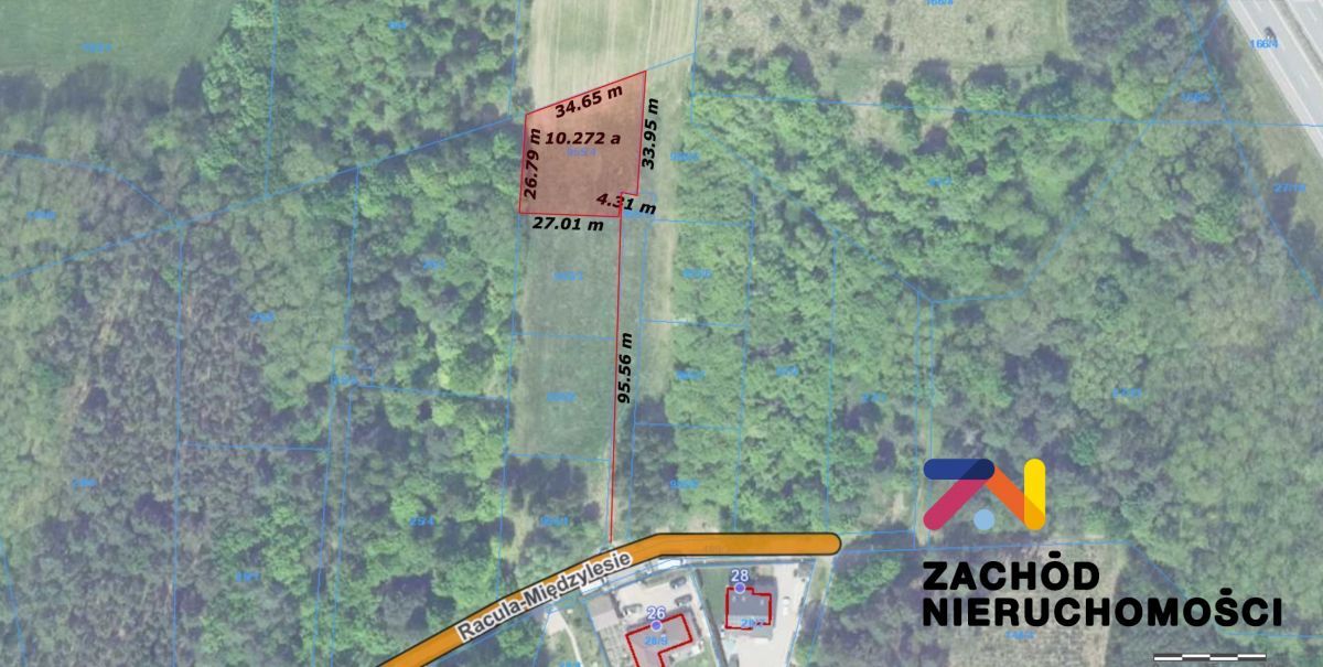 Działka budowlana Zielona Góra Racula, ul. Racula-Międzylesie. Zdjęcie 2