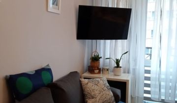 Mieszkanie 3-pokojowe Mława Centrum, ul. Padlewskiego