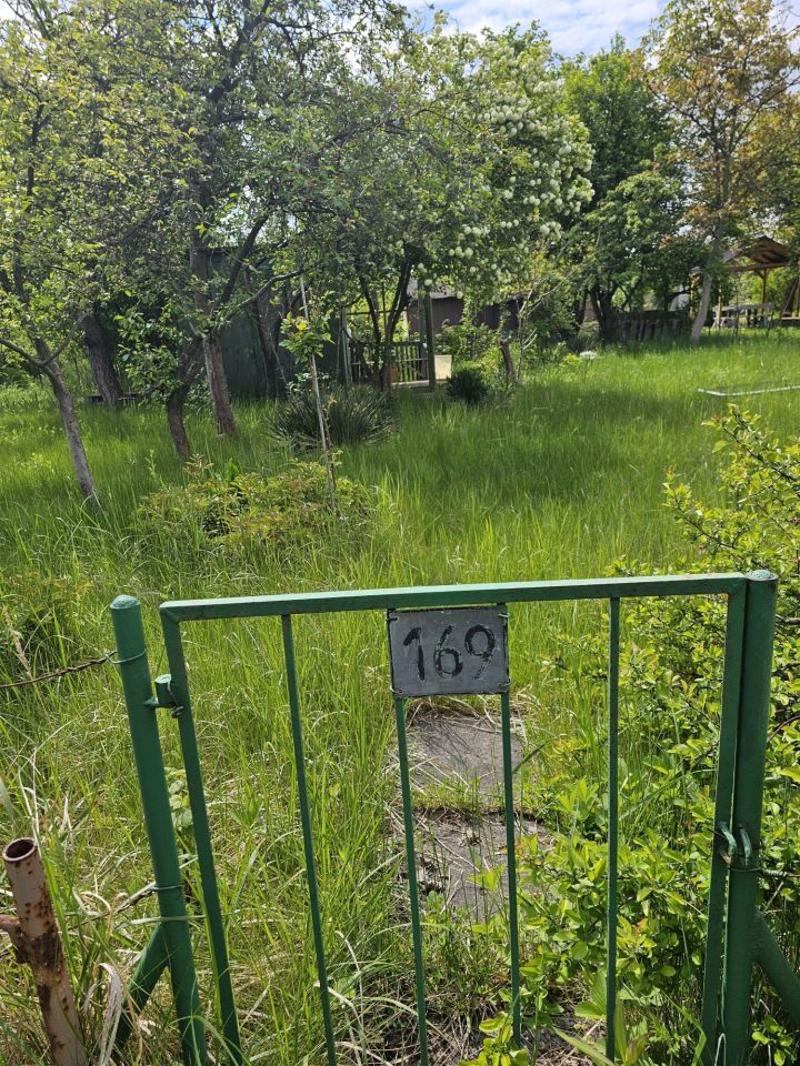 Działka rod Iwiny, ul. Polna. Zdjęcie 4