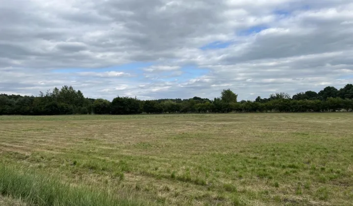 Działka budowlana Jarantów-Kolonia