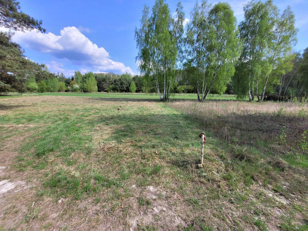 Działka budowlana Fasty, ul. Dzikowska. Zdjęcie 12