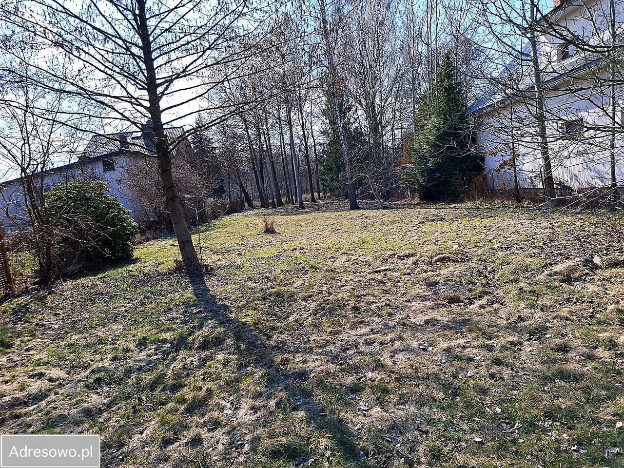 Działka budowlana Kobyłka, ul. Serwitucka. Zdjęcie 1