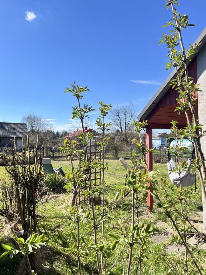 Działka rod Oświęcim Stare Stawy. Zdjęcie 6