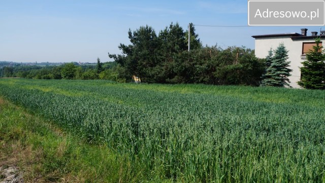 Działka budowlana Czyżowice, ul. Polna. Zdjęcie 1