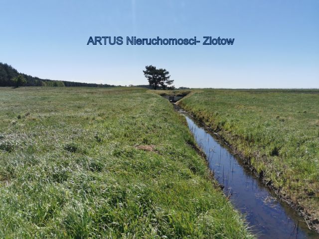 Działka rolna Święta. Zdjęcie 1