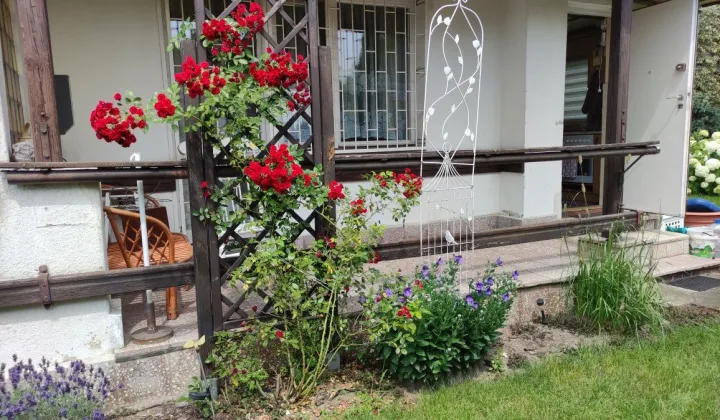 Działka rod Poznań, ul. Złotowska