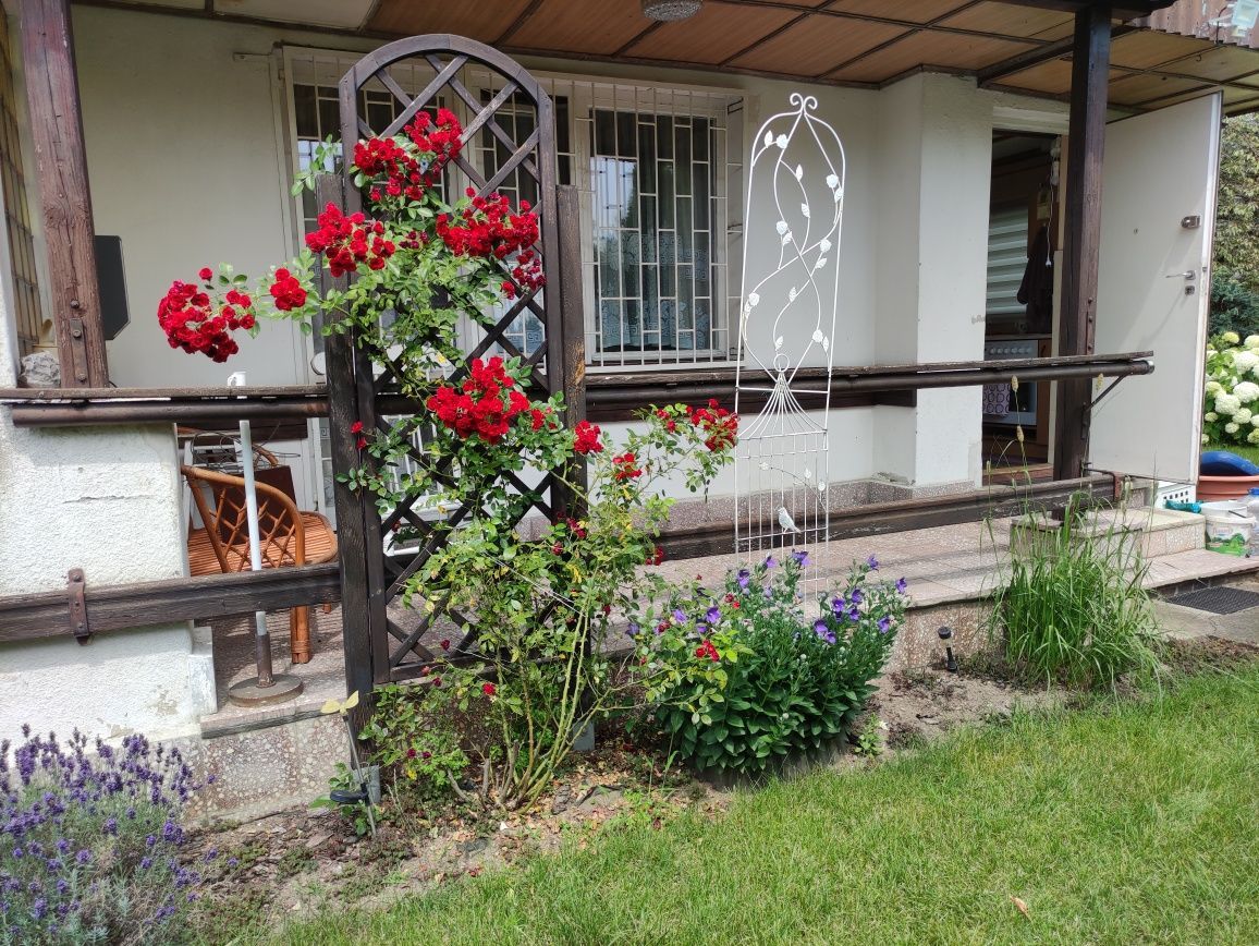 Działka rod Poznań, ul. Złotowska