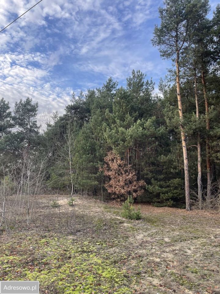 Działka inna Wielogóra, ul. Rataja. Zdjęcie 2