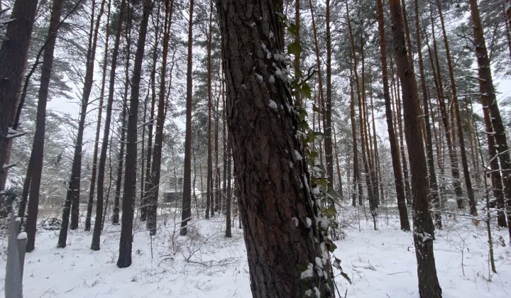 Działka budowlana Izabelin C, ul. Mariana Langiewicza