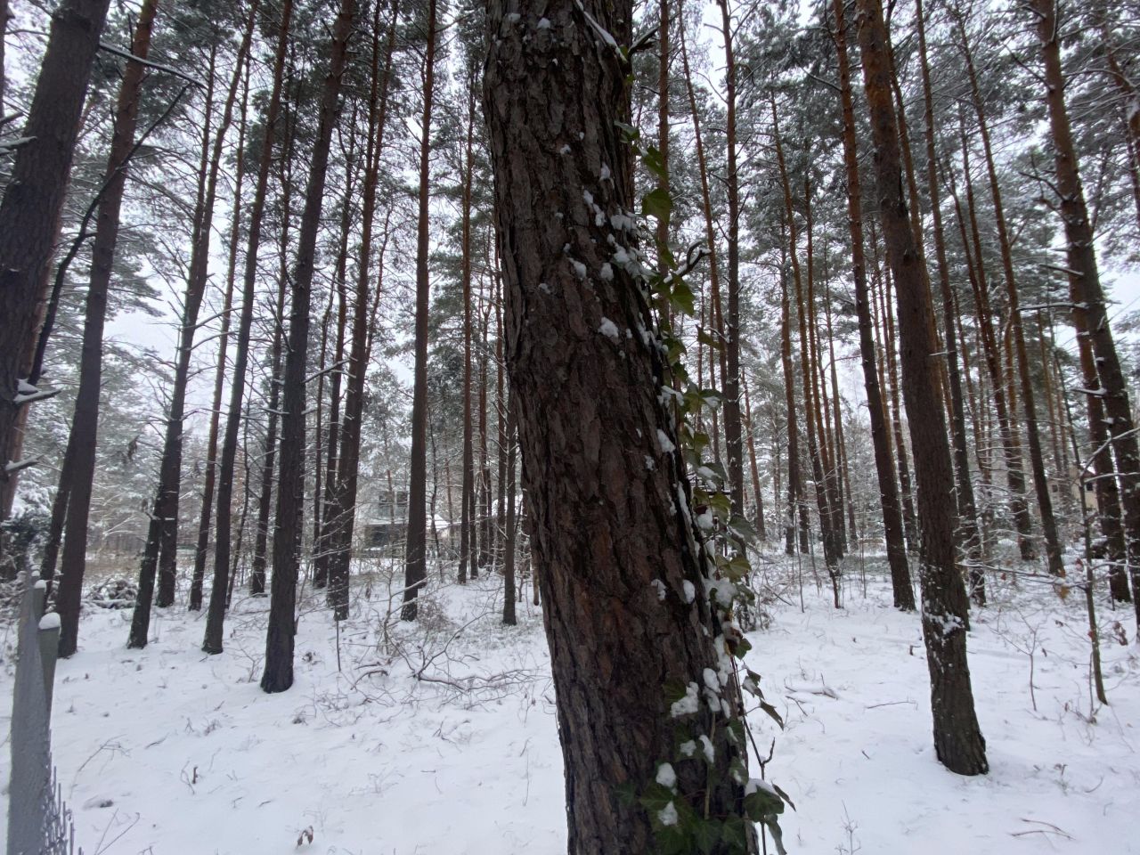 Działka budowlana Izabelin C, ul. Mariana Langiewicza