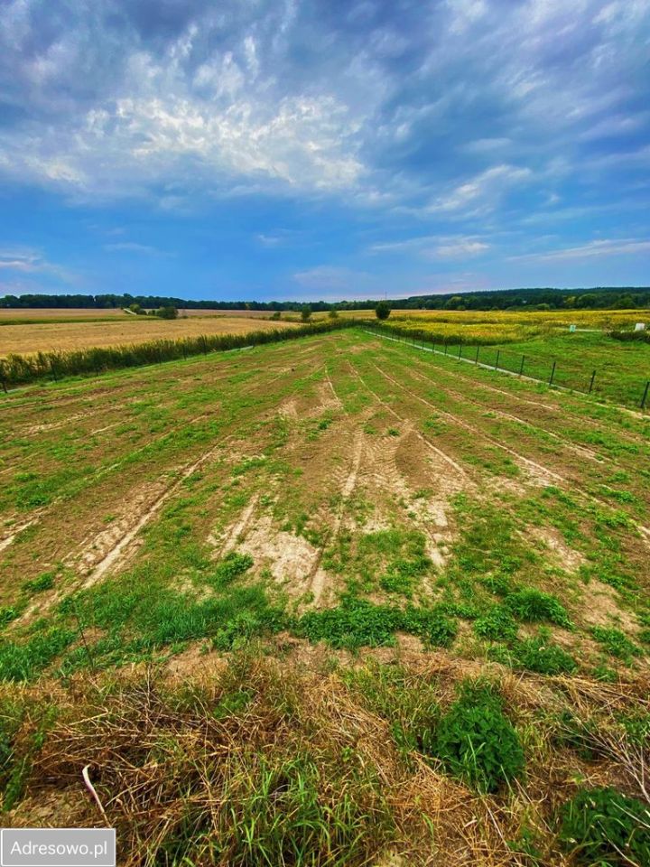 Działka budowlana Mienice. Zdjęcie 6