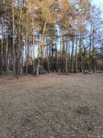 Działka budowlana Jamborek. Zdjęcie 1