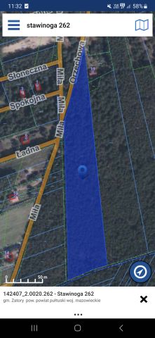 Działka leśna Stawinoga, ul. Orzechowa. Zdjęcie 1