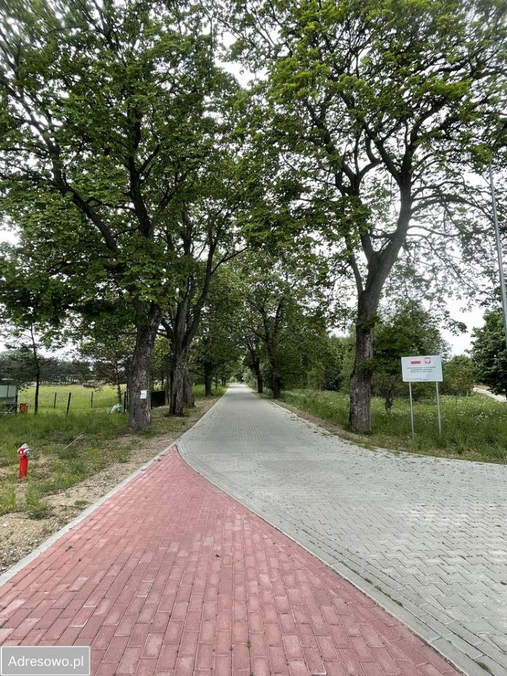 Działka budowlana Dołgie. Zdjęcie 9