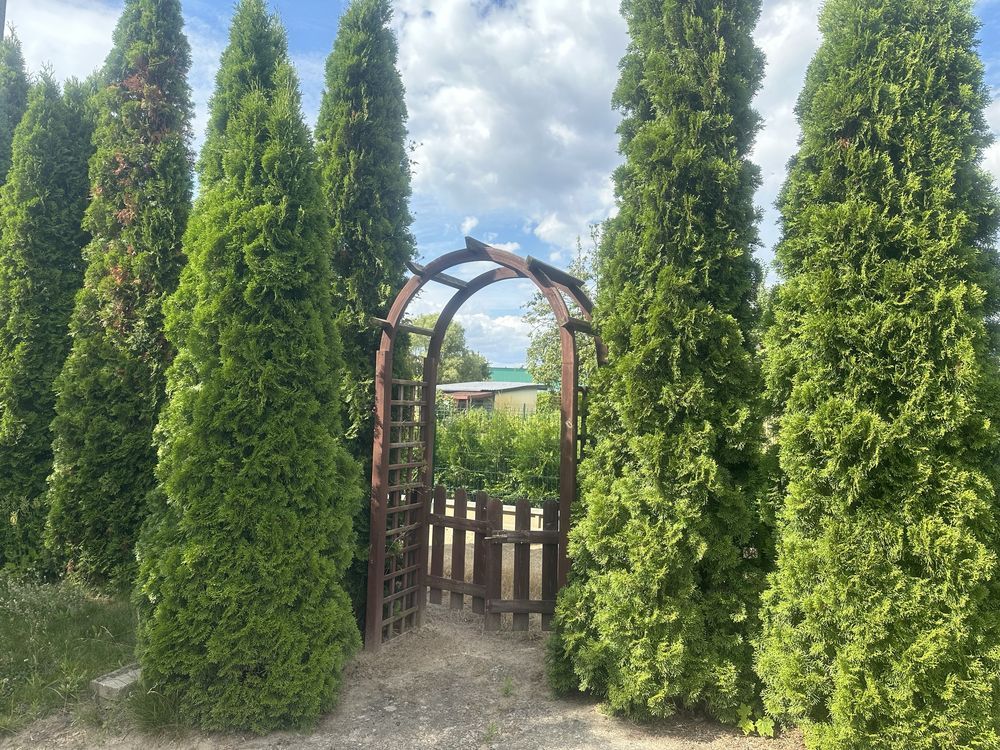 Działka rod Powodowo. Zdjęcie 4