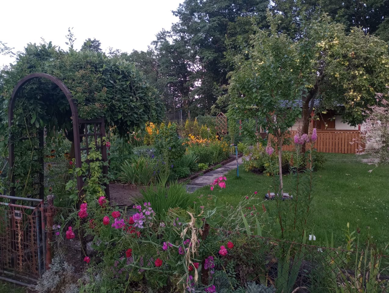 Działka rod Zielona Góra, ul. Osiedle Pomorskie. Zdjęcie 7