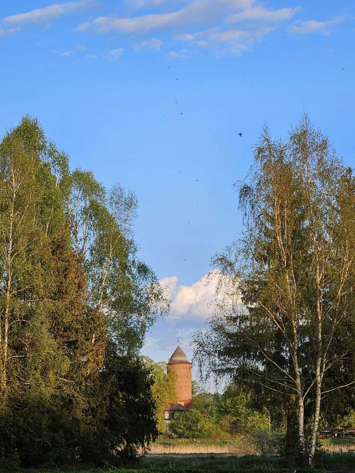 Działka rekreacyjna Świdwin, ul. Pocztowa. Zdjęcie 5