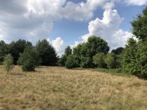 Działka budowlana Kuźnica Wąsowska, ul. Rzeczna. Zdjęcie 3