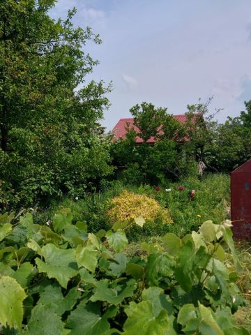 Działka rekreacyjna Batowice. Zdjęcie 1