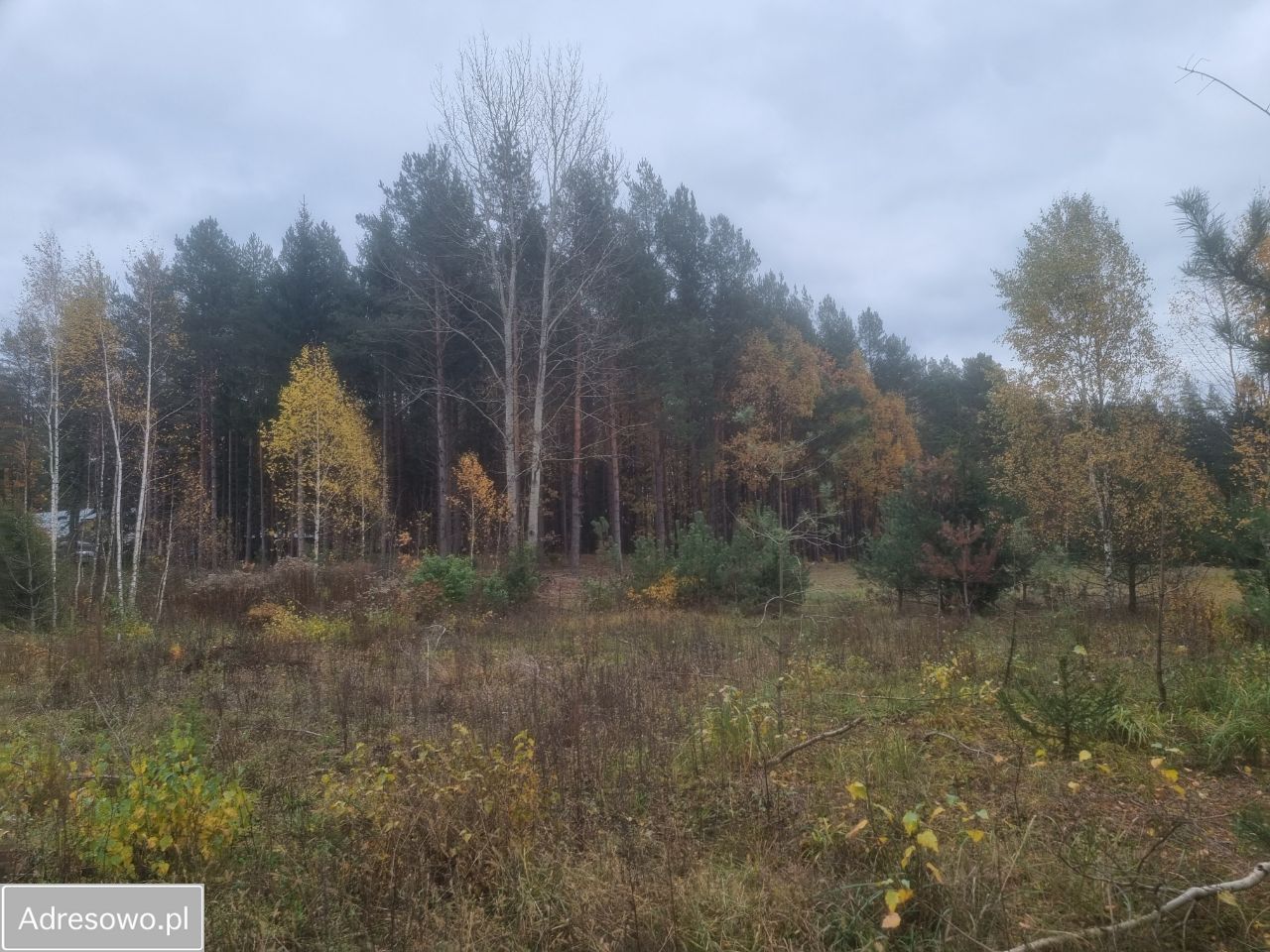 Działka budowlana Czarna Białostocka, ul. Brzozowy Mostek. Zdjęcie 2