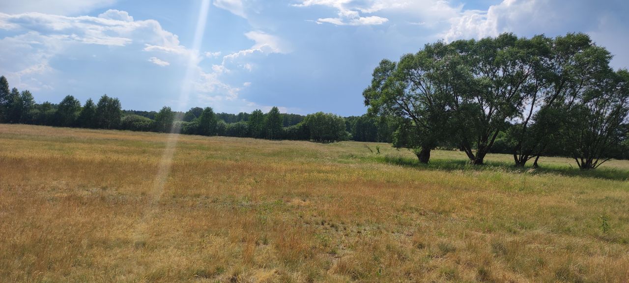 Działka rolno-budowlana Cisie, ul. Jesienna. Zdjęcie 12