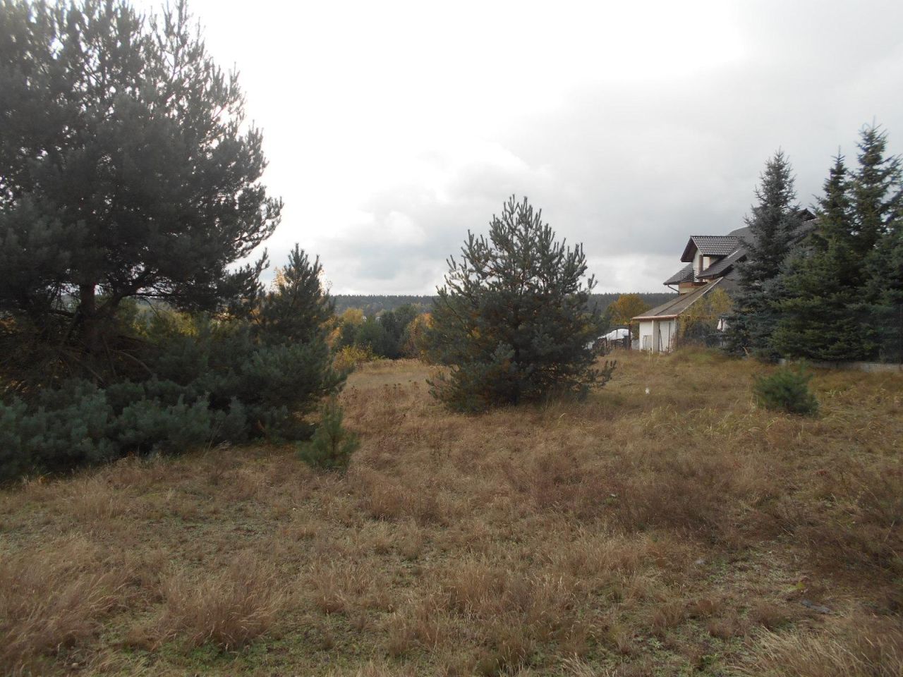 Działka rolno-budowlana Starachowice Michałów Górny, ul. Fryderyka Lempe. Zdjęcie 6