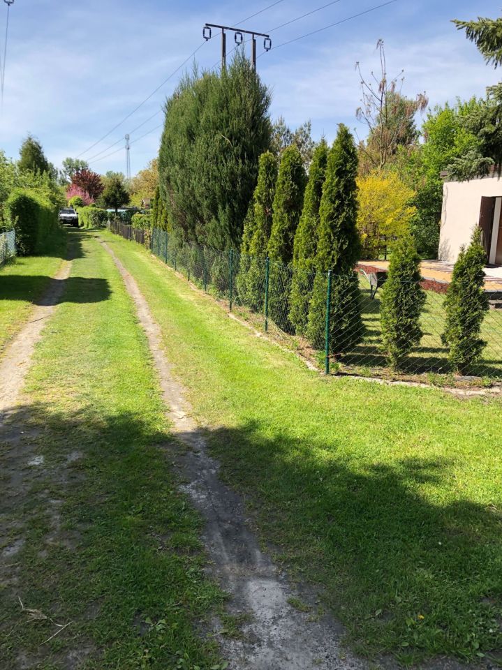 Działka rod Ostrów Wielkopolski. Zdjęcie 5