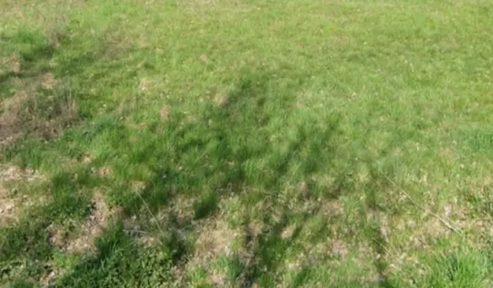 Działka rolna Leśniaki Chabielskie, leśniaki chabielskie