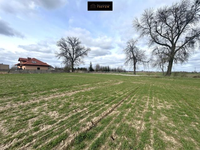 Działka budowlana Przysieka. Zdjęcie 6