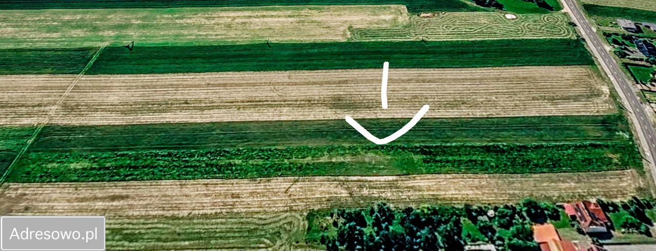 Działka rolno-budowlana Komprachcice, ul. Ochodzka. Zdjęcie 5
