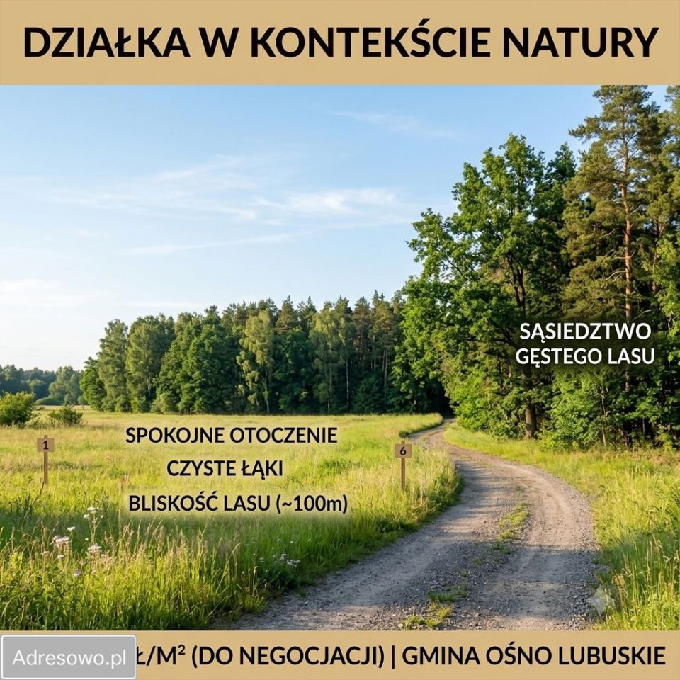 Działka budowlana Radachów. Zdjęcie 2