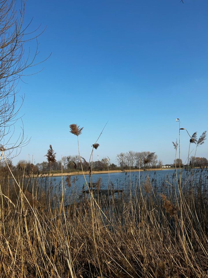 Działka rolno-budowlana Orchowo, ul. Trzemeszeńska. Zdjęcie 6