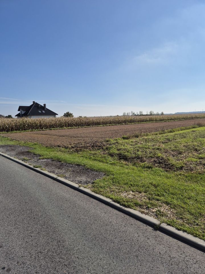 Działka rolno-budowlana Dalachów. Zdjęcie 8