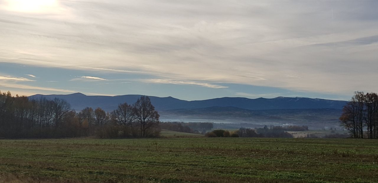 Działka rolna Pasiecznik. Zdjęcie 10
