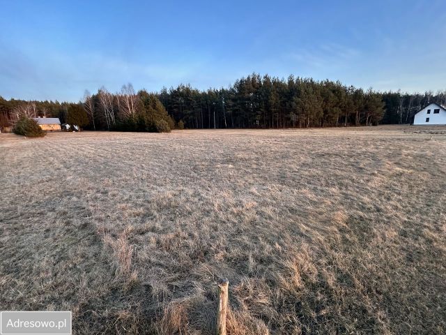 Działka budowlana Dudowizna. Zdjęcie 1