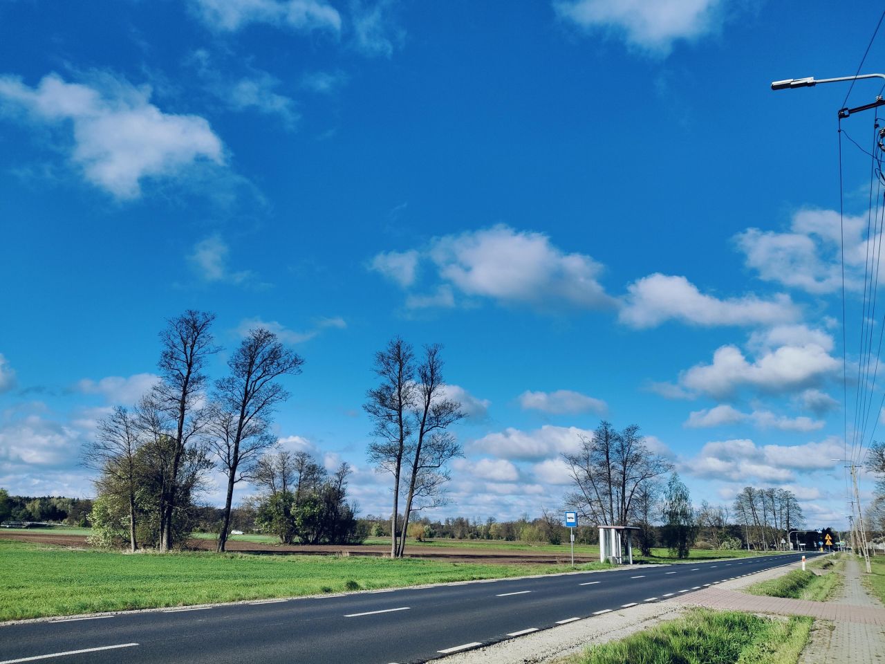 Działka rolno-budowlana Stoczek. Zdjęcie 4