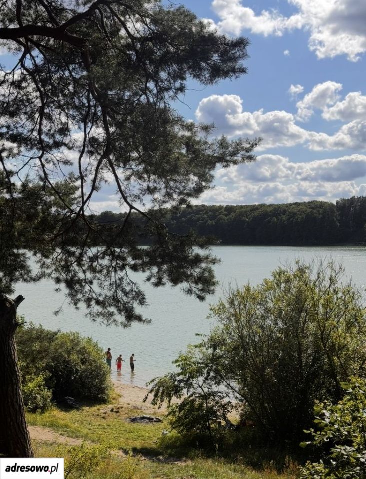 Działka budowlana Żukowo. Zdjęcie 3